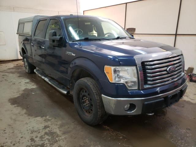 FORD F150 SUPER 2010 1ftfw1ev8afd13511