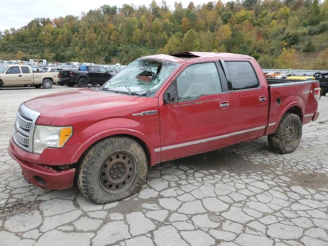 FORD F-150 2010 1ftfw1ev8afd17400