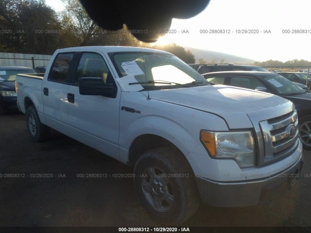 FORD F-150 2010 1ftfw1ev8afd19311