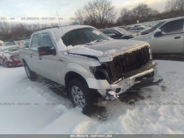 FORD F-150 2010 1ftfw1ev8afd20751