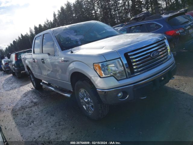 FORD F-150 2010 1ftfw1ev8afd26162