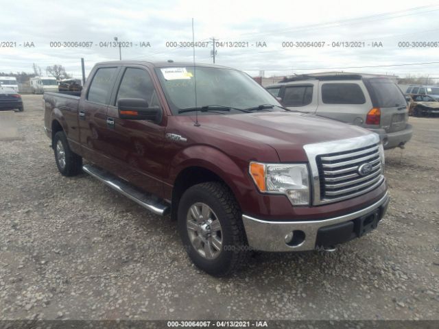 FORD F-150 2010 1ftfw1ev8afd40627