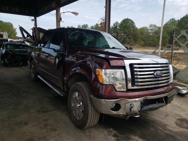 FORD F150 SUPER 2010 1ftfw1ev8afd41440