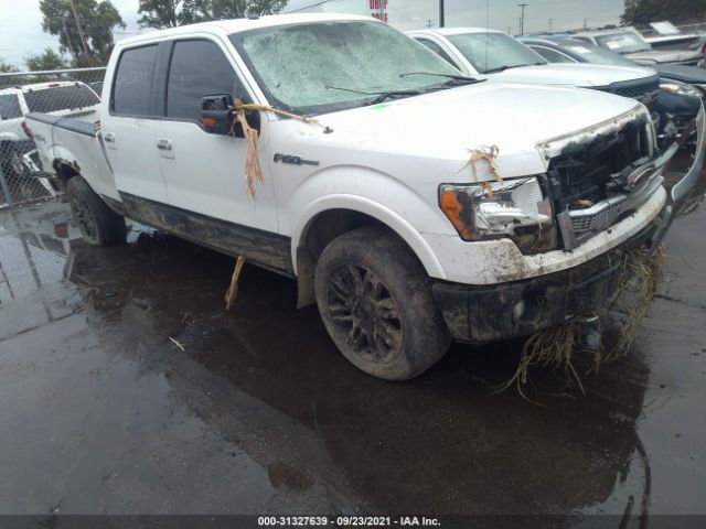 FORD F-150 2010 1ftfw1ev8afd46041