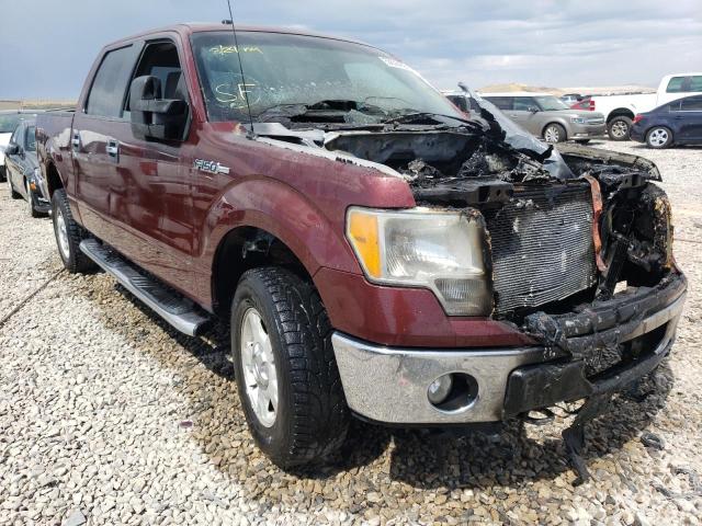 FORD F150 SUPER 2010 1ftfw1ev8afd59033