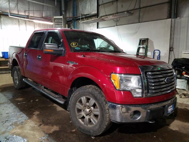 FORD F150 SUPER 2010 1ftfw1ev8afd63650