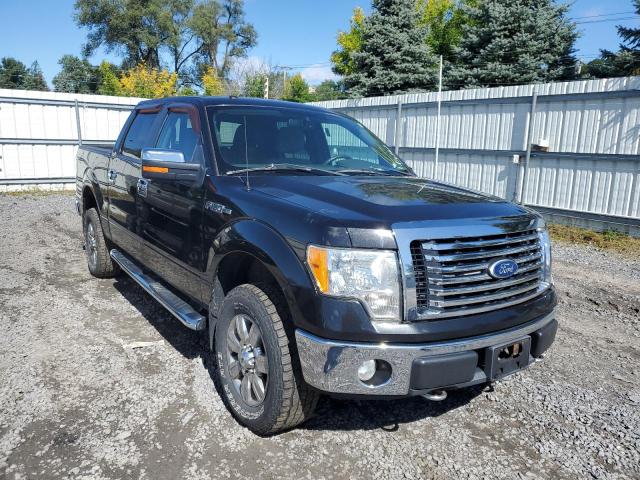 FORD F150 SUPER 2010 1ftfw1ev8afd70288