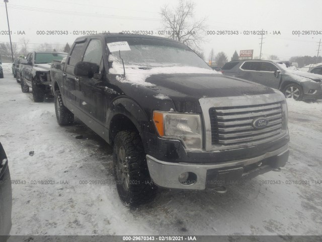 FORD F-150 2010 1ftfw1ev8afd76821