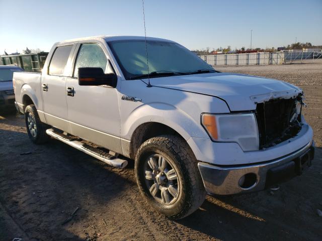 FORD F150 SUPER 2010 1ftfw1ev8afd88628