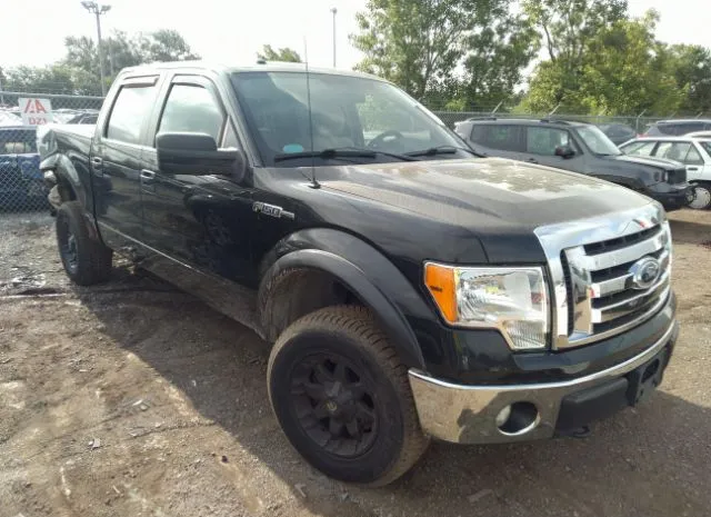 FORD F-150 2010 1ftfw1ev8afd92761