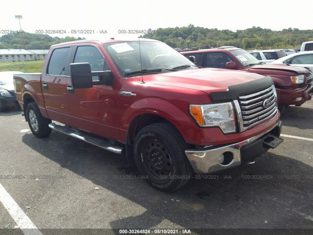 FORD F-150 2010 1ftfw1ev8akb46669