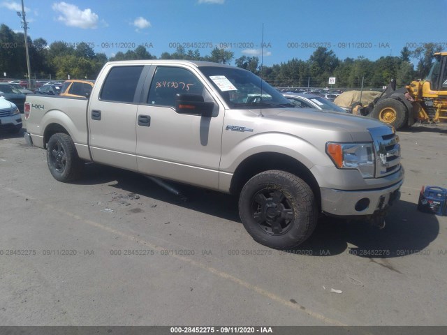 FORD F-150 2010 1ftfw1ev8akb83656