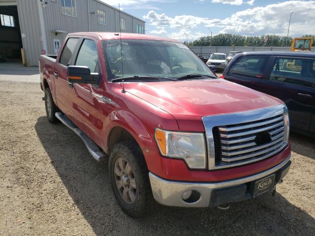 FORD F150 SUPER 2010 1ftfw1ev9afc12204