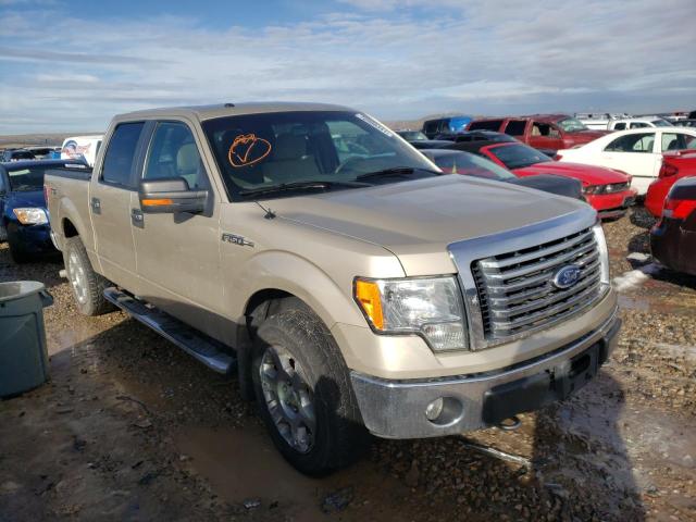 FORD F150 SUPER 2010 1ftfw1ev9afc40424