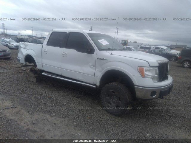 FORD F-150 2010 1ftfw1ev9afd05062