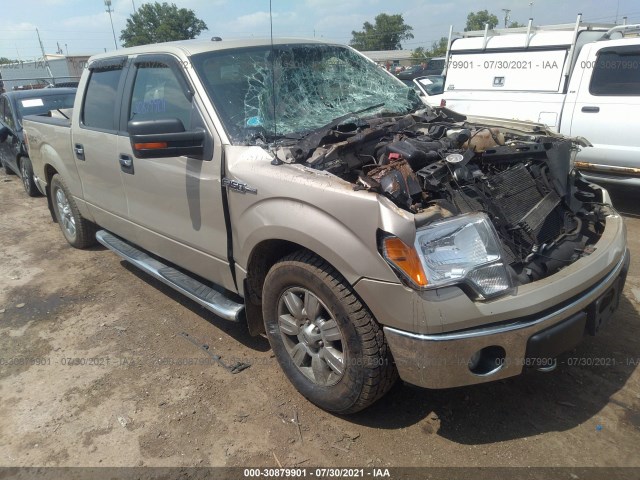 FORD F-150 2010 1ftfw1ev9afd41043