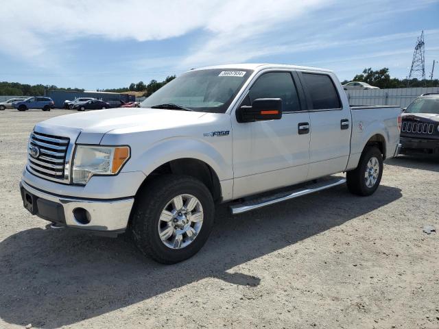 FORD F-150 2010 1ftfw1ev9afd67237