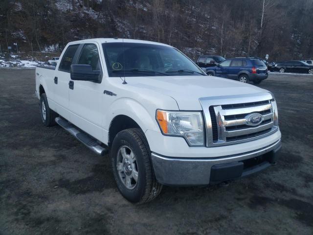 FORD F150 SUPER 2010 1ftfw1evxafb31504