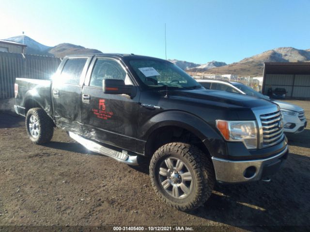 FORD F-150 2010 1ftfw1evxafc52694