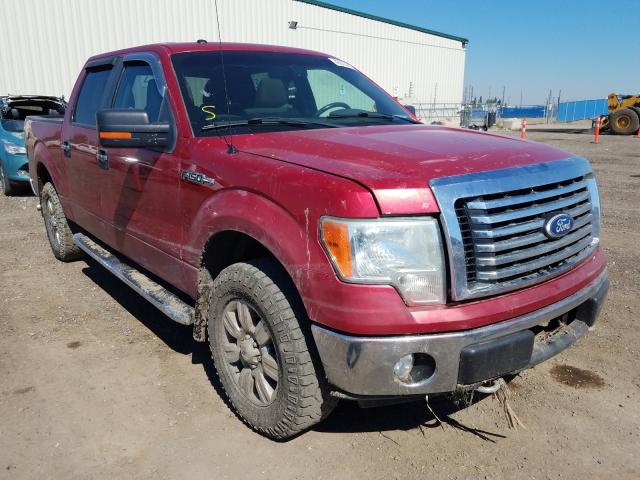 FORD F150 SUPER 2010 1ftfw1evxafc66496