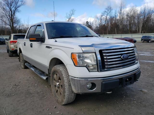 FORD F150 SUPER 2010 1ftfw1evxafc82830