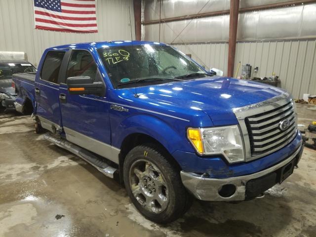 FORD F150 SUPER 2010 1ftfw1evxafd09816