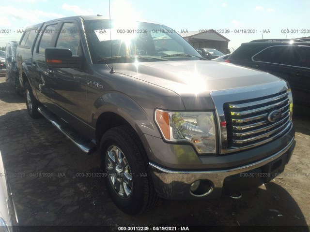 FORD F-150 2010 1ftfw1evxafd70938