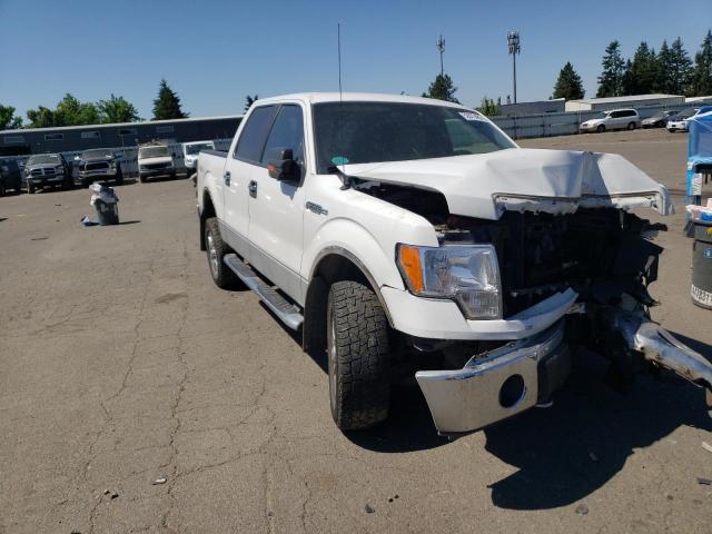 FORD F150 SUPER 2010 1ftfw1evxafd80790