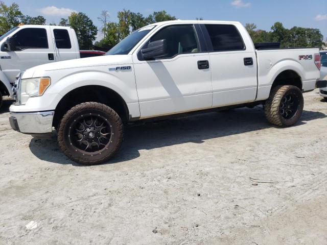 FORD F150 SUPER 2010 1ftfw1evxafd88162