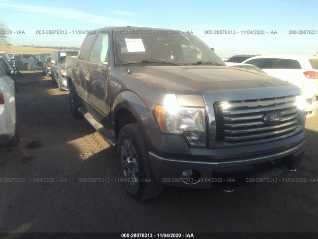 FORD F-150 2010 1ftfw1evxafd88288