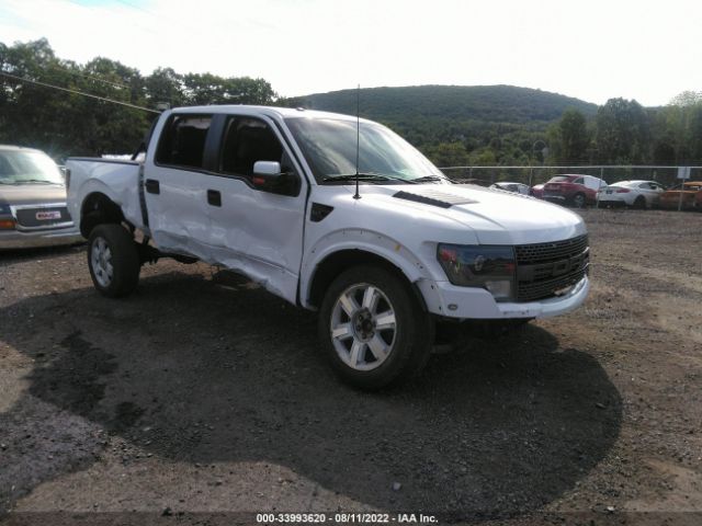 FORD F-150 2013 1ftfw1r62dfb90084