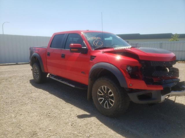 FORD F150 SVT R 2013 1ftfw1r64dfa18848