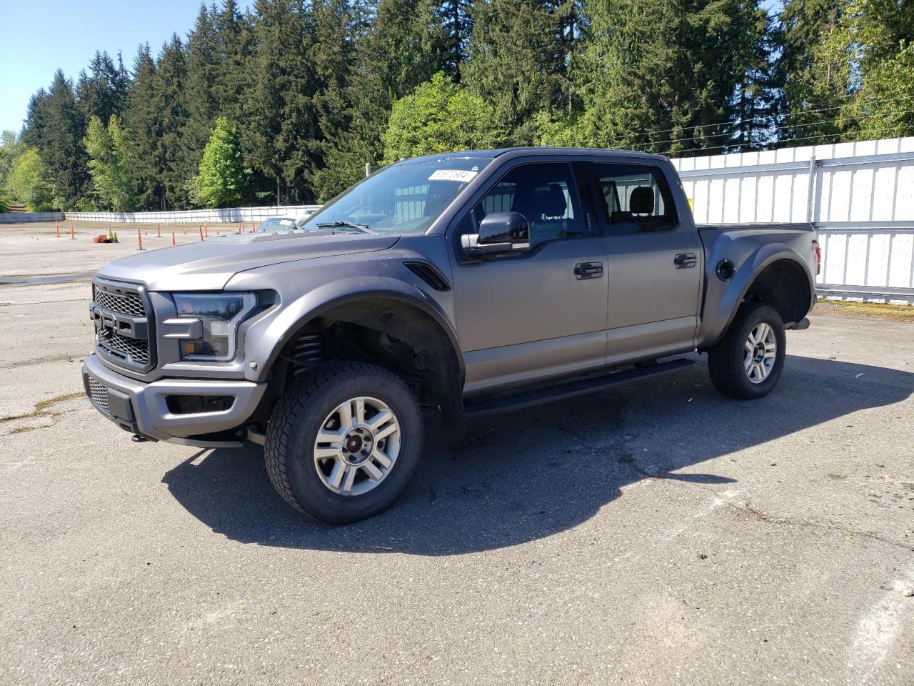 FORD F-150 2018 1ftfw1rg8jfb40794