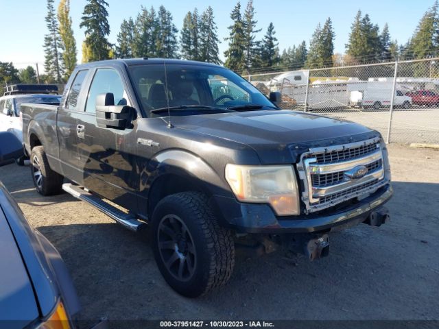 FORD F-150 2013 1ftfx1c66dfb60415