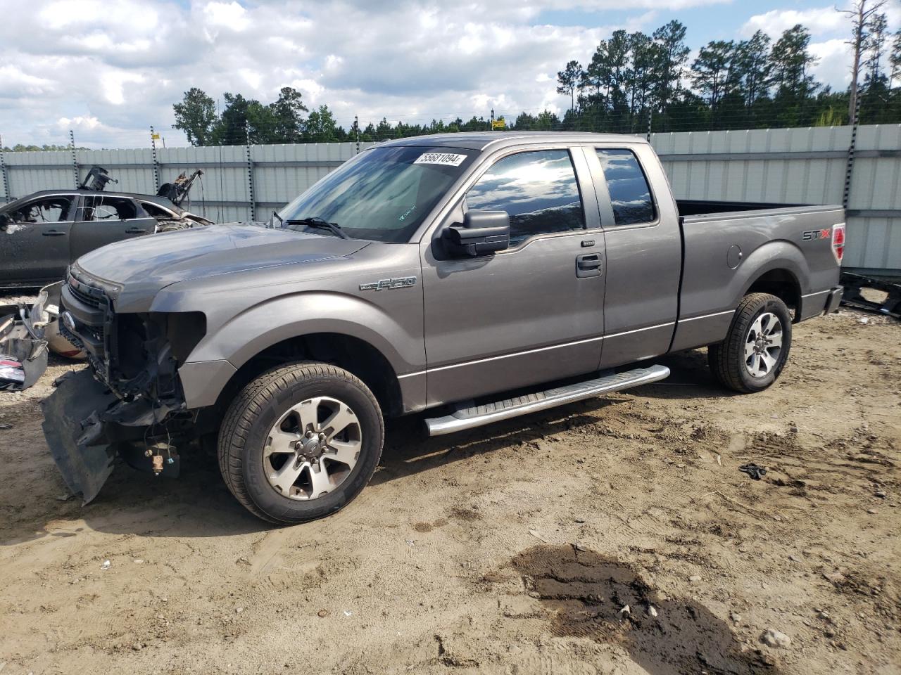 FORD F-150 2013 1ftfx1cf0dfb63746