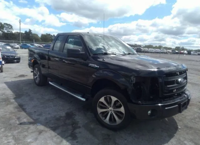 FORD F-150 2013 1ftfx1cf0dfc69579