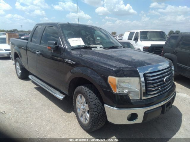 FORD F-150 2011 1ftfx1cf1bfa05977