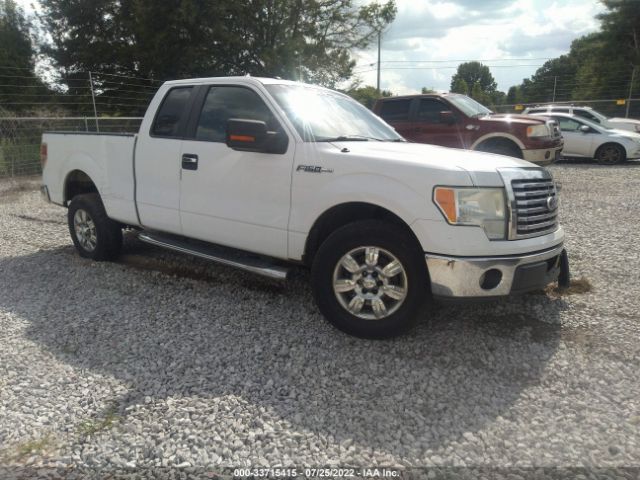 FORD F-150 2011 1ftfx1cf1bkd16865