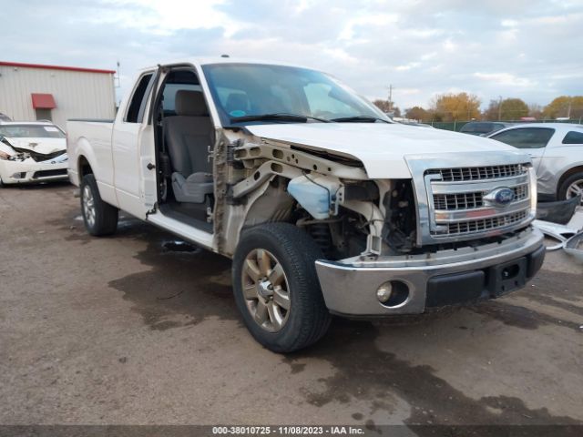 FORD F-150 2013 1ftfx1cf1dfb59835