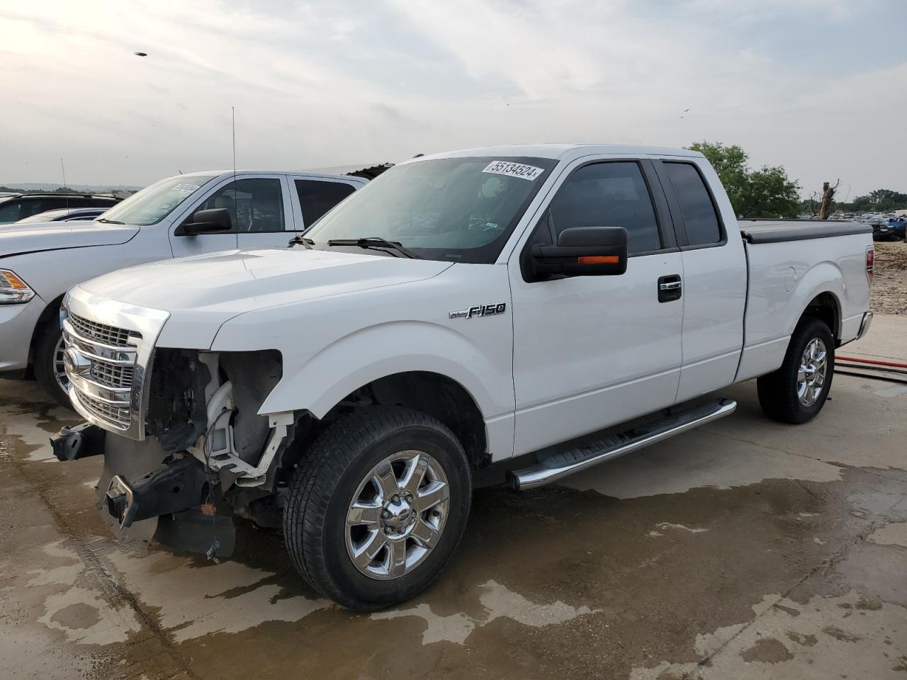 FORD F-150 2013 1ftfx1cf1dfb82029