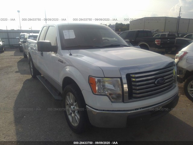 FORD F-150 2013 1ftfx1cf1dfc87119