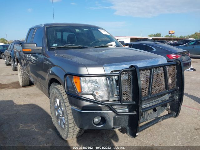 FORD F-150 2013 1ftfx1cf1dkg06641