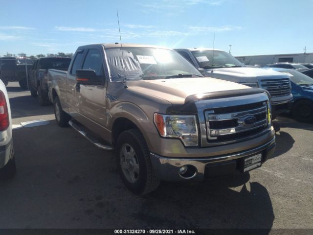 FORD F-150 2013 1ftfx1cf2dfc42156