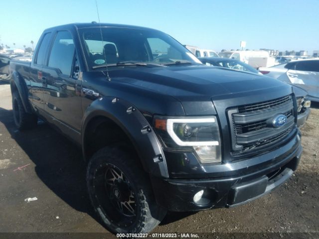 FORD F-150 2013 1ftfx1cf3dfa19091