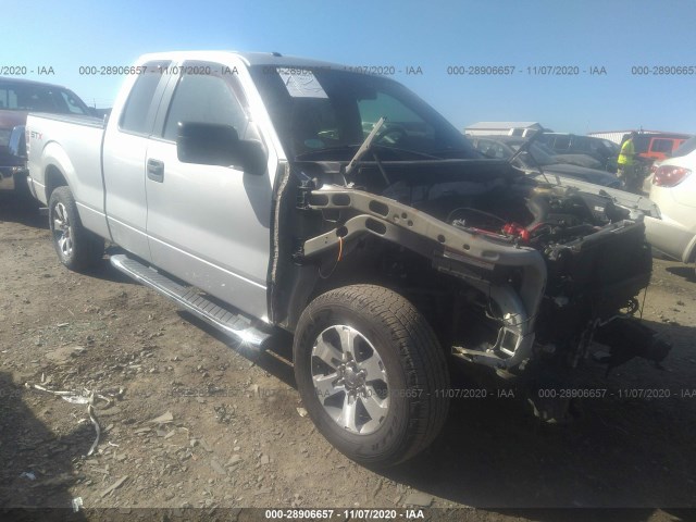 FORD F-150 2013 1ftfx1cf3dfa98682