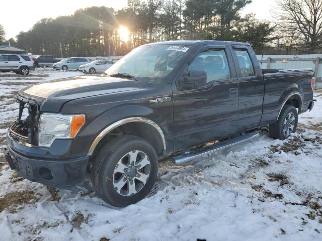 FORD F-150 2013 1ftfx1cf3dfd94916