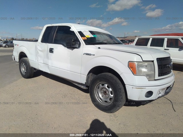 FORD F-150 2013 1ftfx1cf3dfe05042