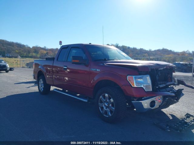 FORD NULL 2014 1ftfx1cf3ekf32902