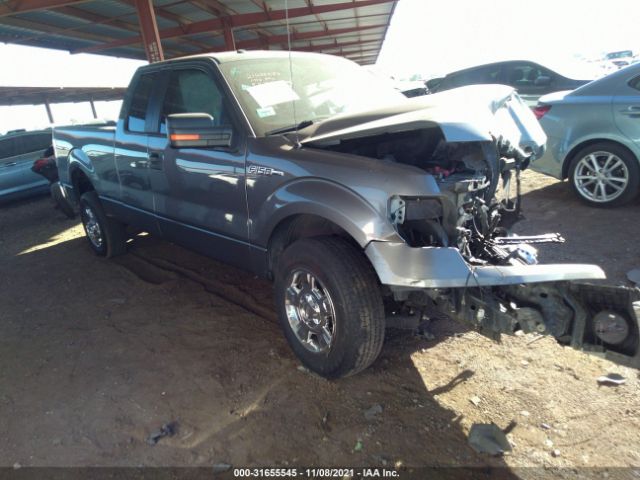 FORD F-150 2013 1ftfx1cf4dfc58701