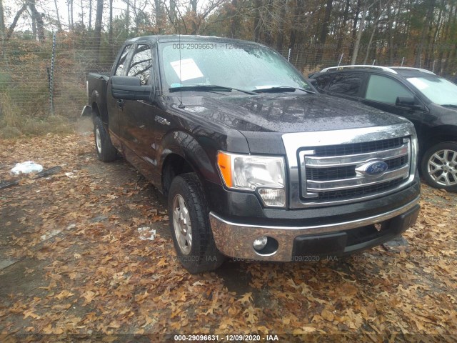 FORD F-150 2013 1ftfx1cf5dfd95534